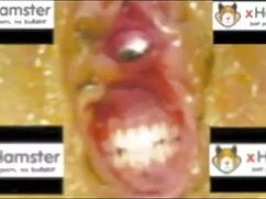 Videó pornó egy kuty ...