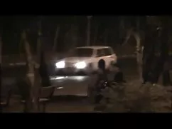 Videó pornó transzne ...