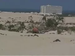 Pornó videók Milf cu ...