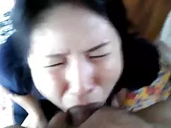Pornó videók ember,  ...